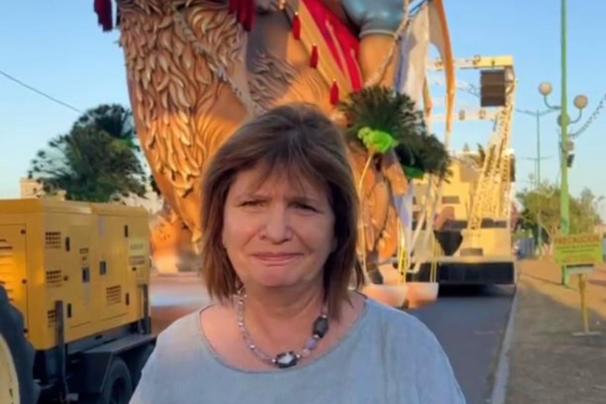 Captura del video (fuente: @PatoBullrich)