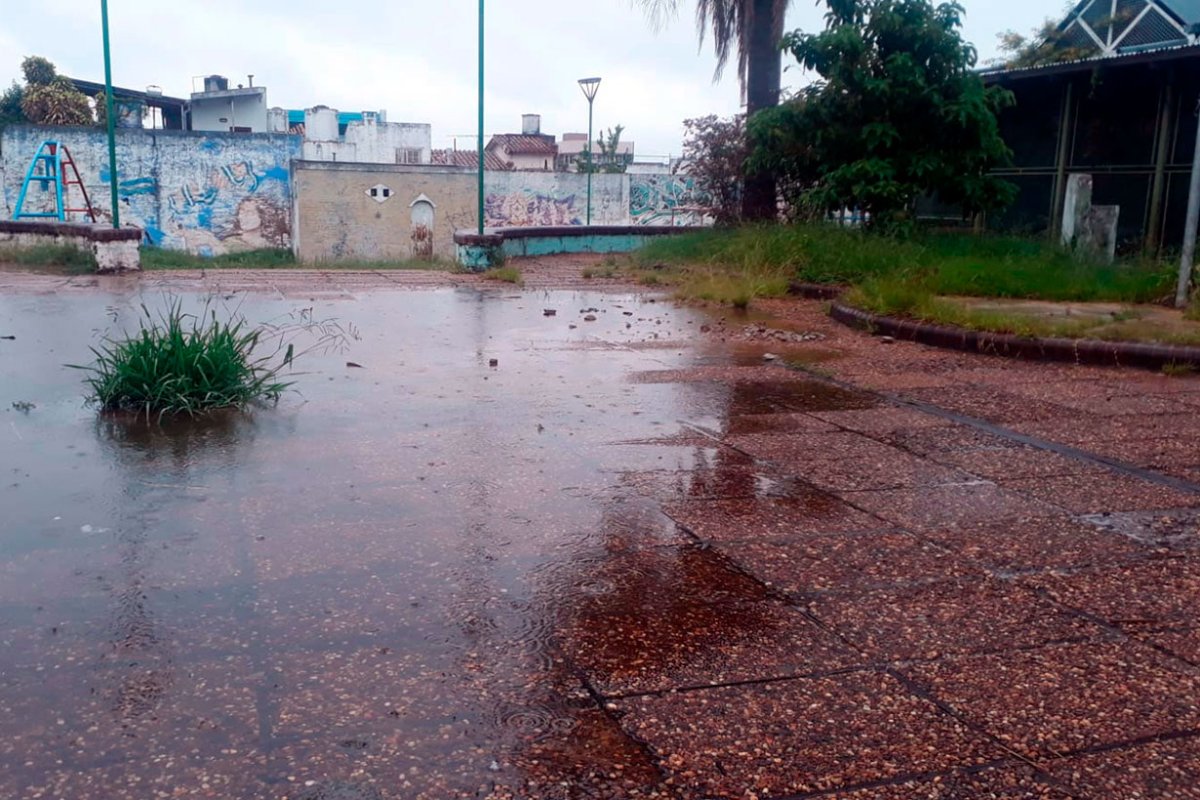 Agua y pastizales en Plaza Sol