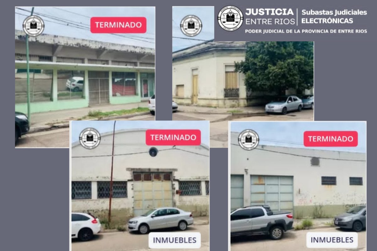 Esas fueron las propiedades subastadas.