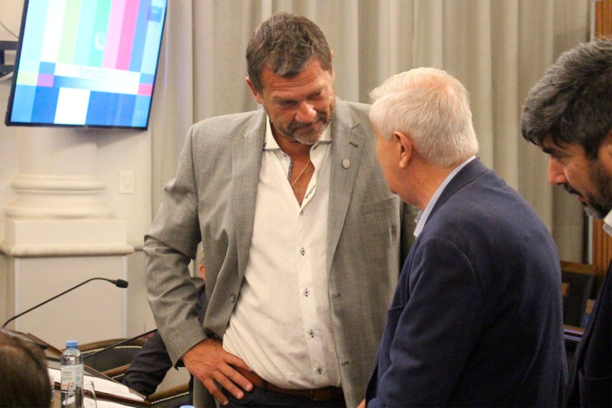 Gay present&oacute; la propuesta en el Senado