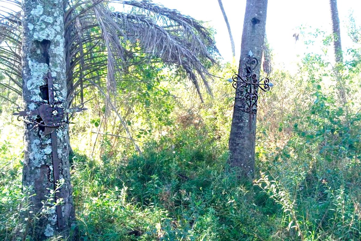 Las misteriosas cruces en El Palmar