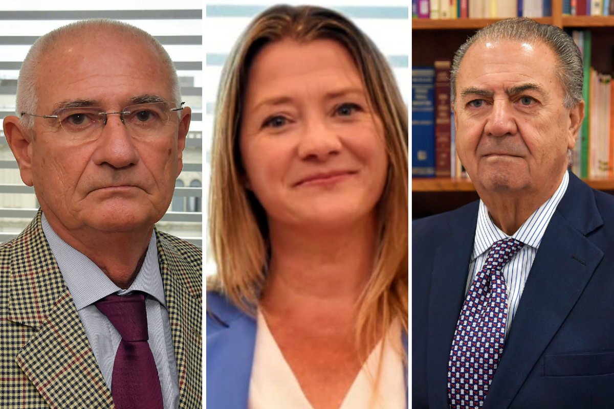 Smaldone, Schumacher y Carubia dan explicaciones.