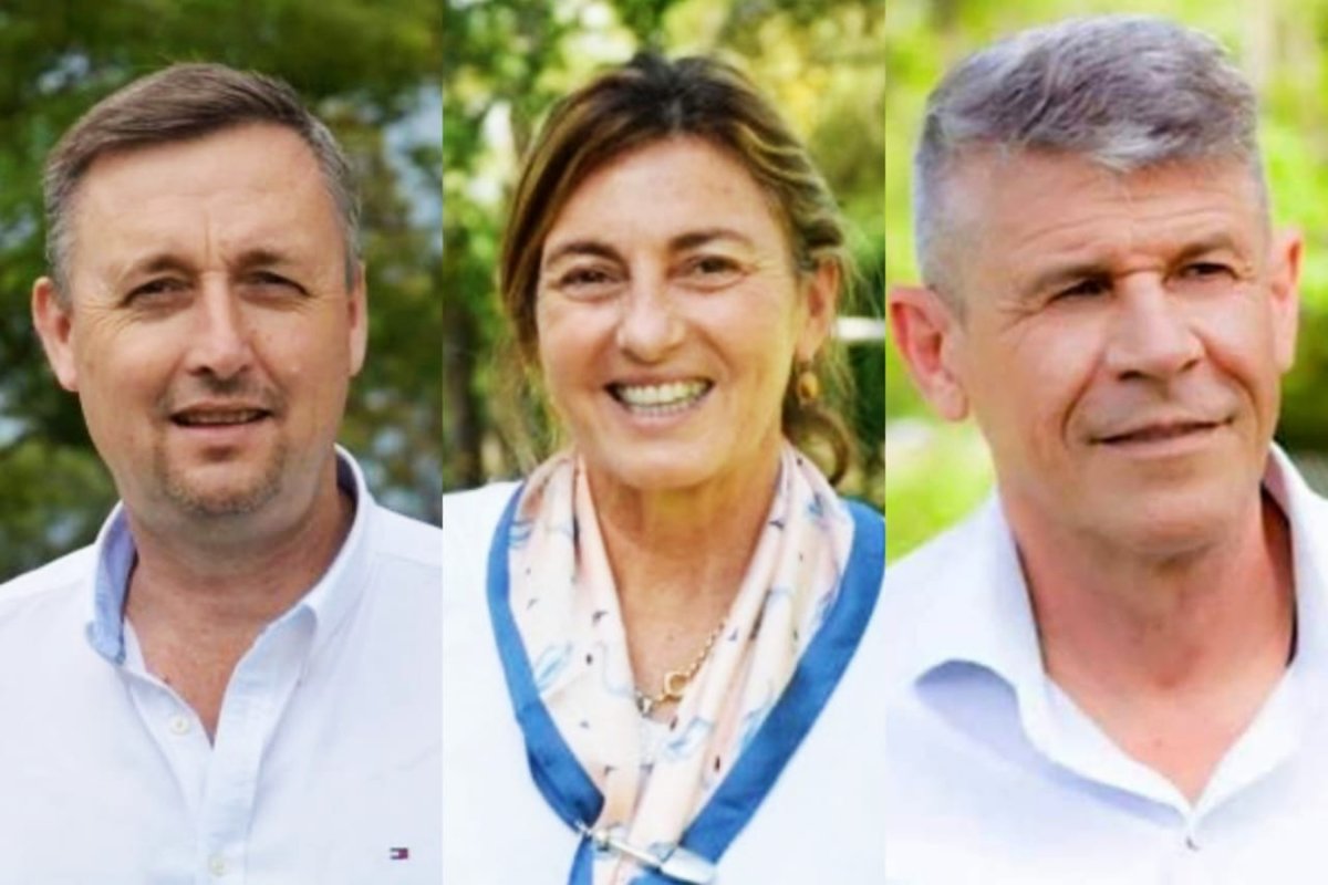 Hein, Fregonese y Satto.