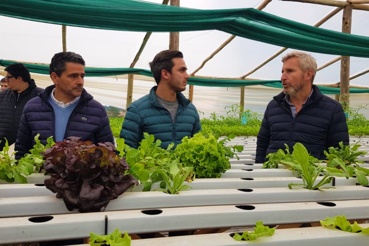 Marcone con Frigerio en Green Pack.