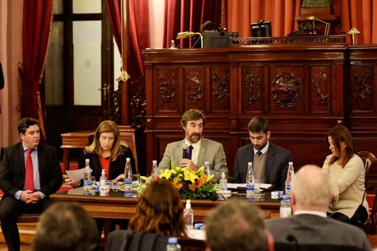 Tratamiento del proyecto de ley en Diputados
