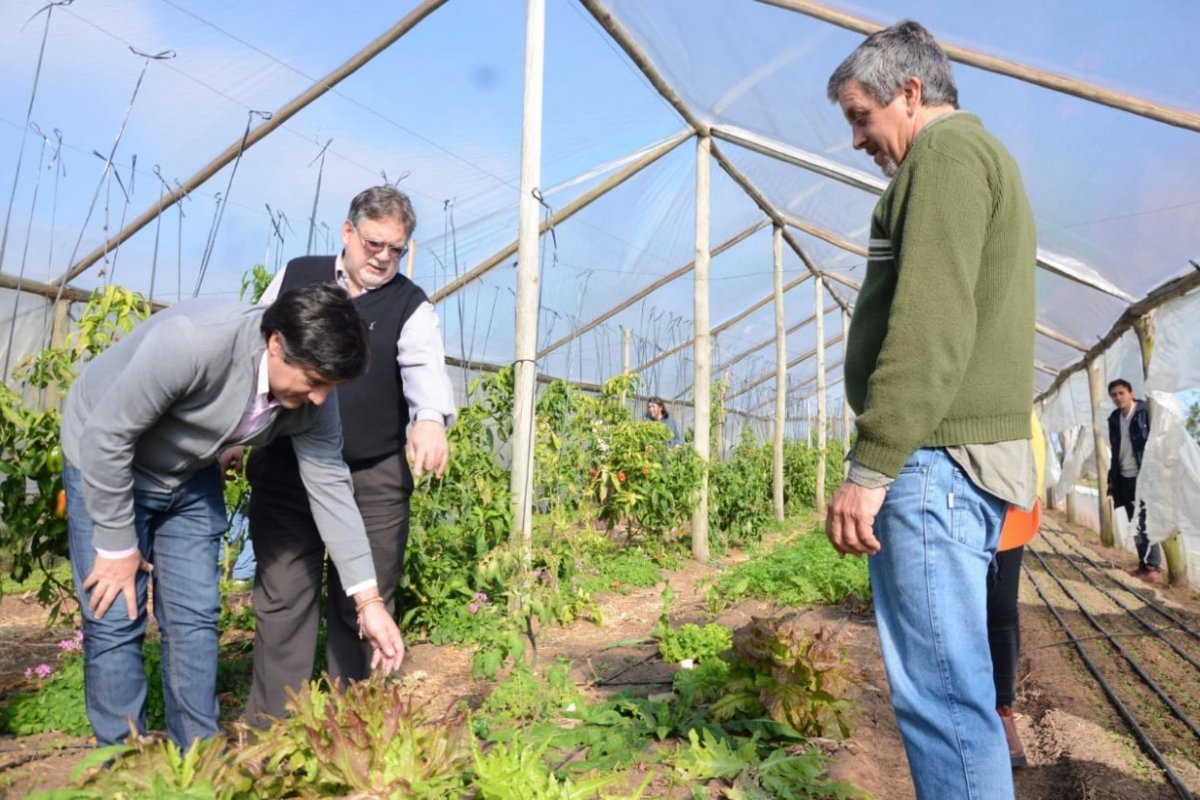 Existen alrededor de 60 familias hort&iacute;colas.