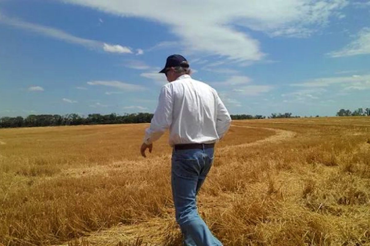 Blaquier, en campos aterrazados de Centella.