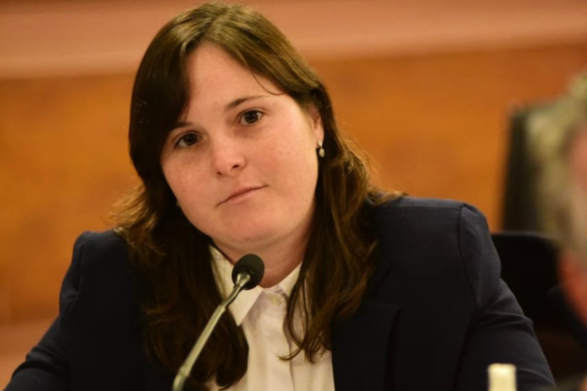 La legisladora radical en la sesi&oacute;n de este martes