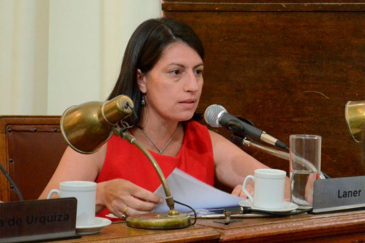 Laner es la autora del proyecto original