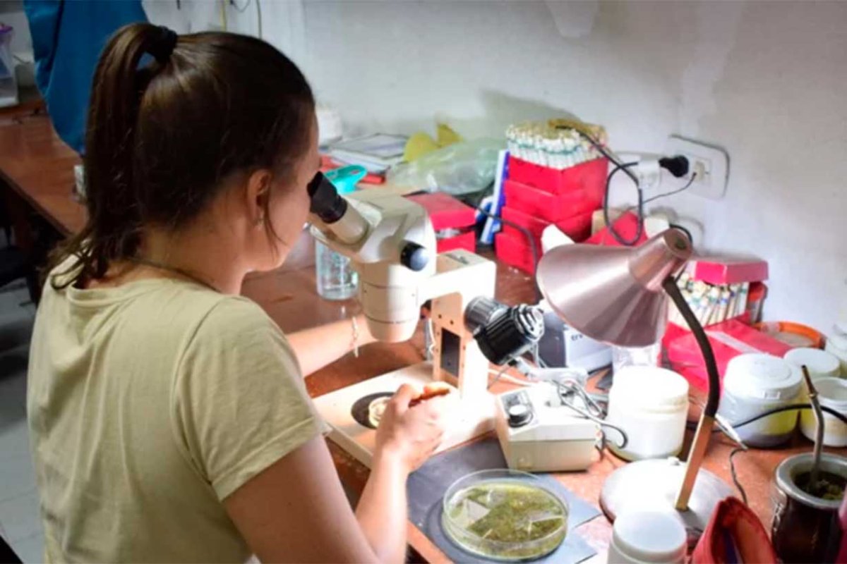Llevaron muestras del agua al laboratorio