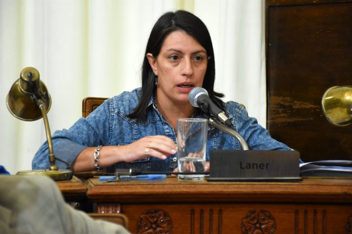 Laner, autora del proyecto convertido en ordenanza