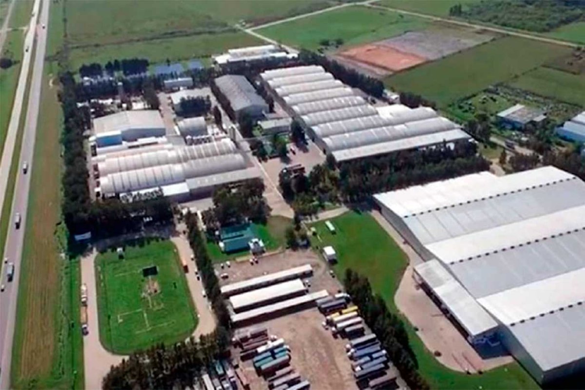 La planta de Baggio en Gualeguaych&uacute;
