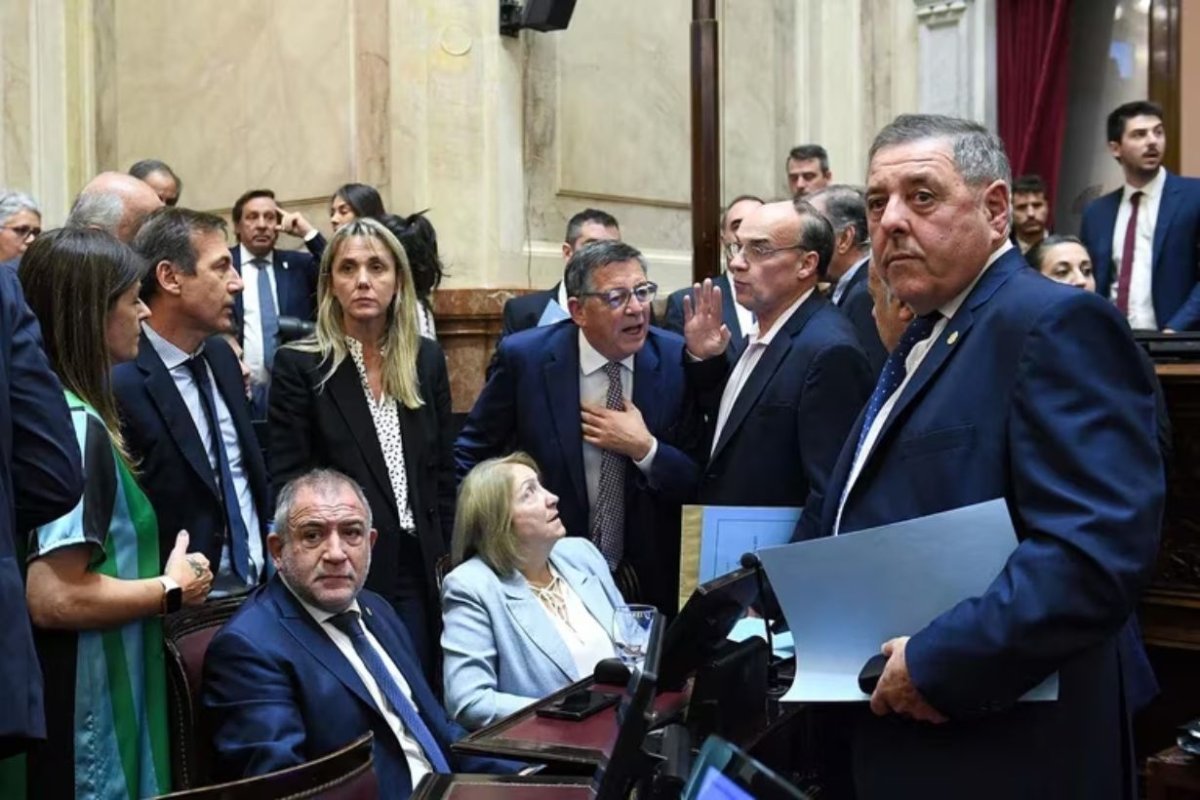 De Angeli, en medio de la tensa sesi&oacute;n.
