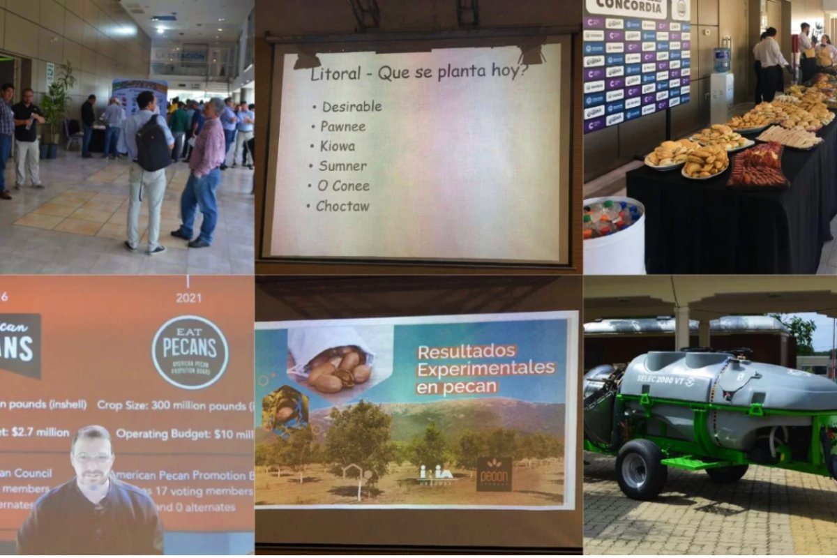 Im&aacute;genes compartidas por Pecan Report.