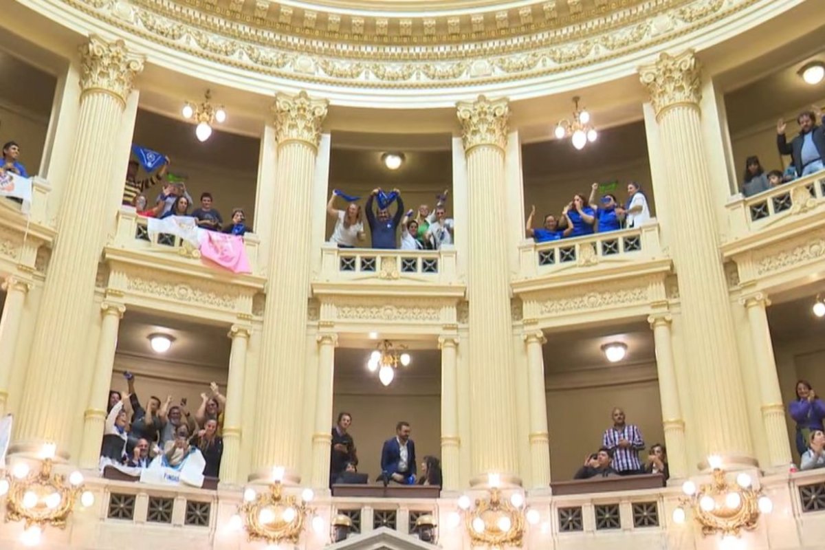 Las agrupaciones de sordos presentes en el Senado.