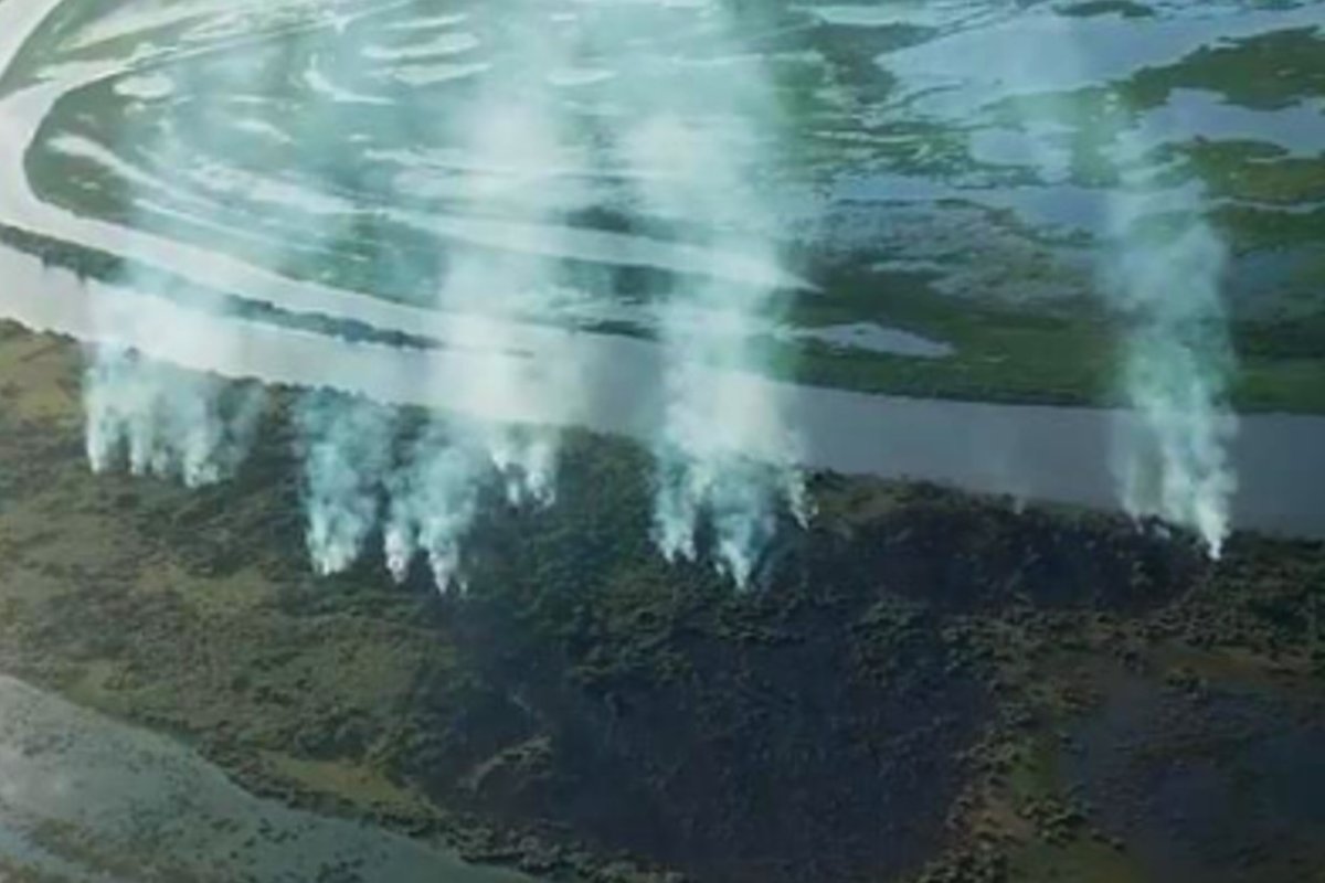 Incendios en el delta