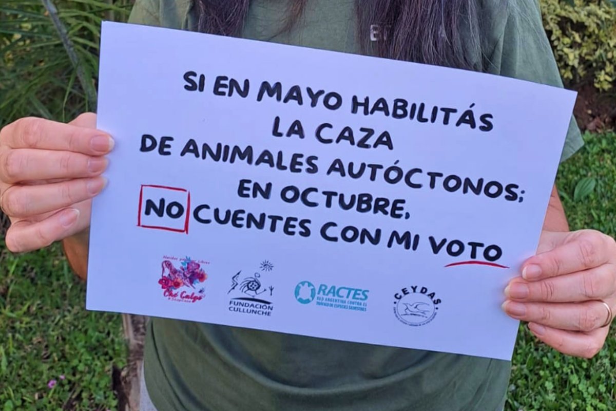 La campa&ntilde;a que promueve CEYDAS.