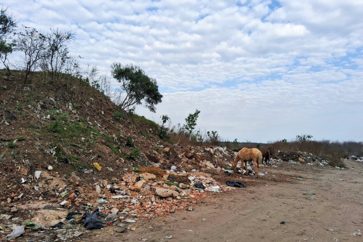 El lugar del hallazgo (foto: Exequiel Bond).