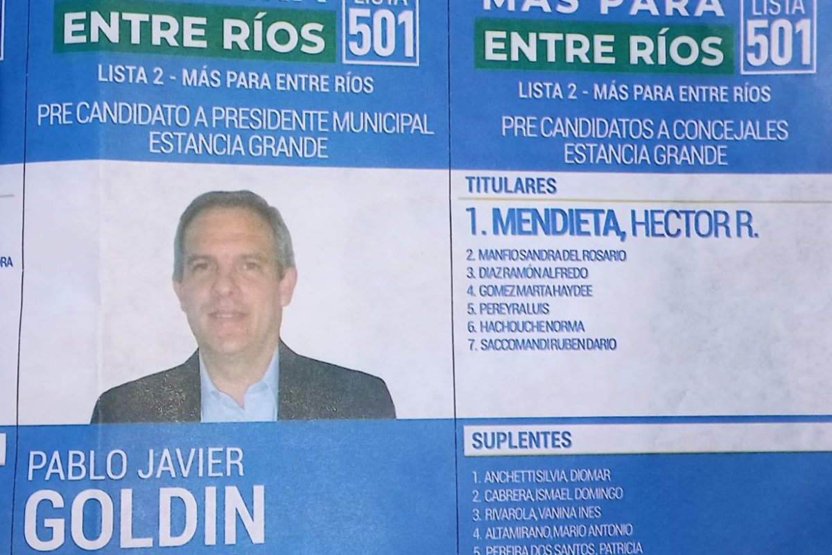 La boleta con la que Goldin compiti&oacute; en las PASO.