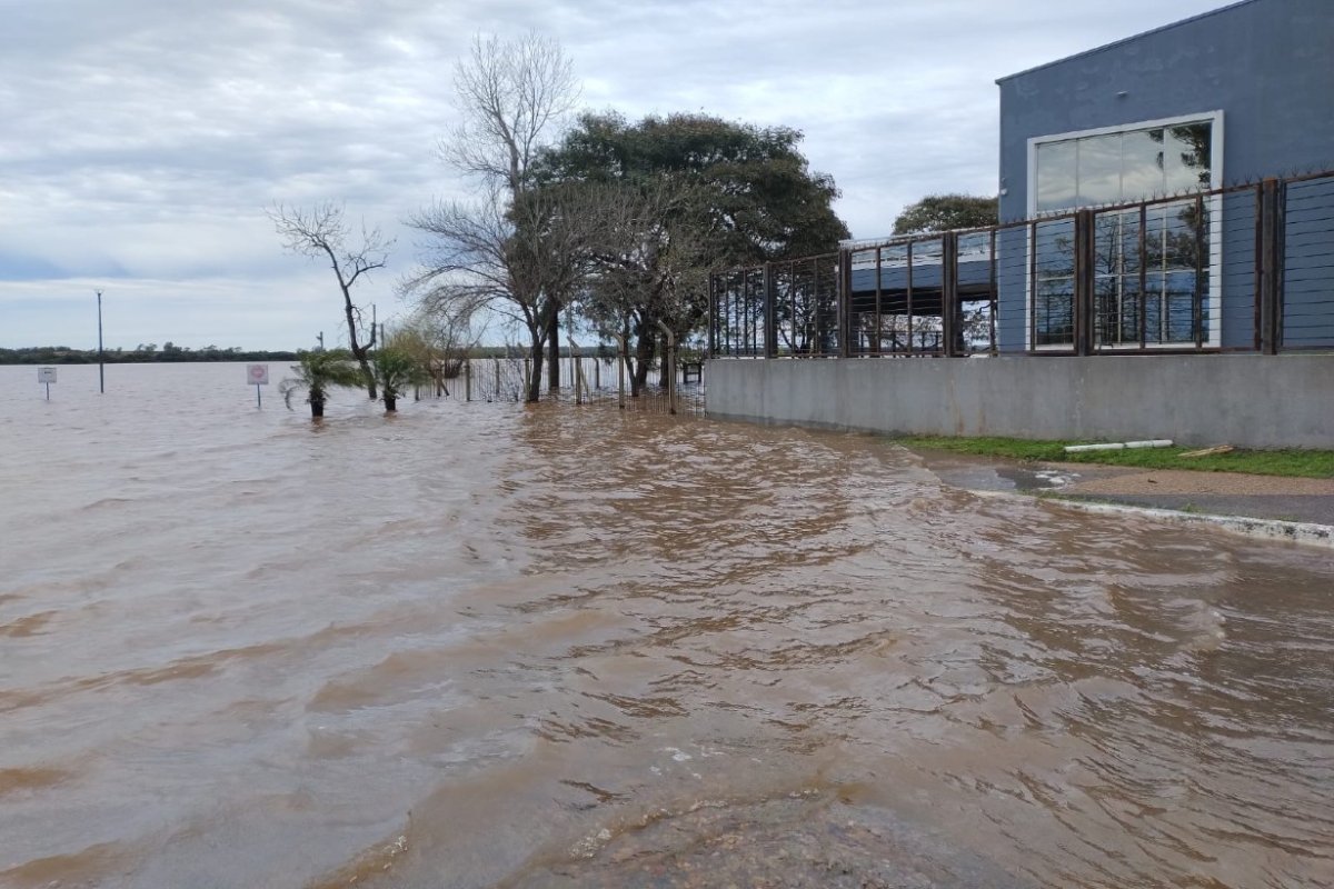 El r&iacute;o avanz&oacute; sobre el sal&oacute;n del CEC