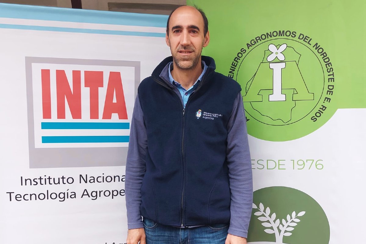Ingeniero forestal Mario Flores.
