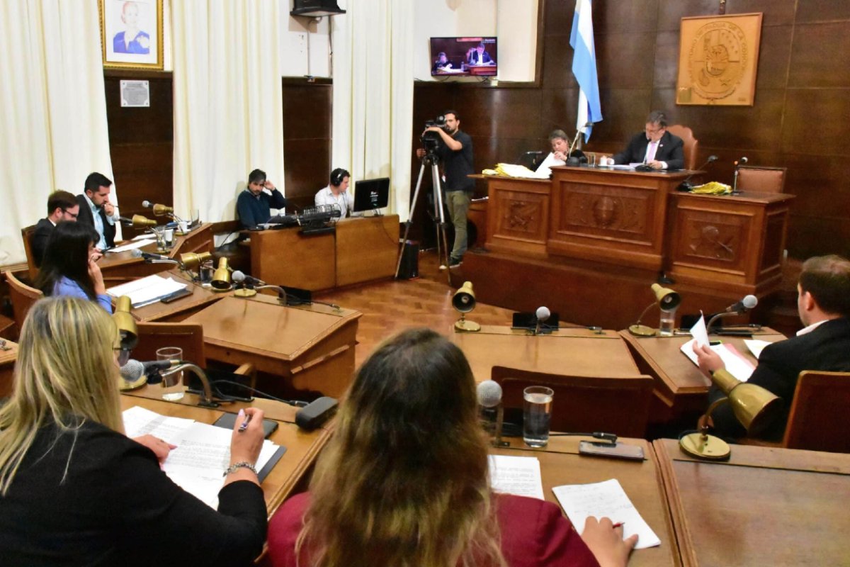Una concejal, cuestionada por los radicales.