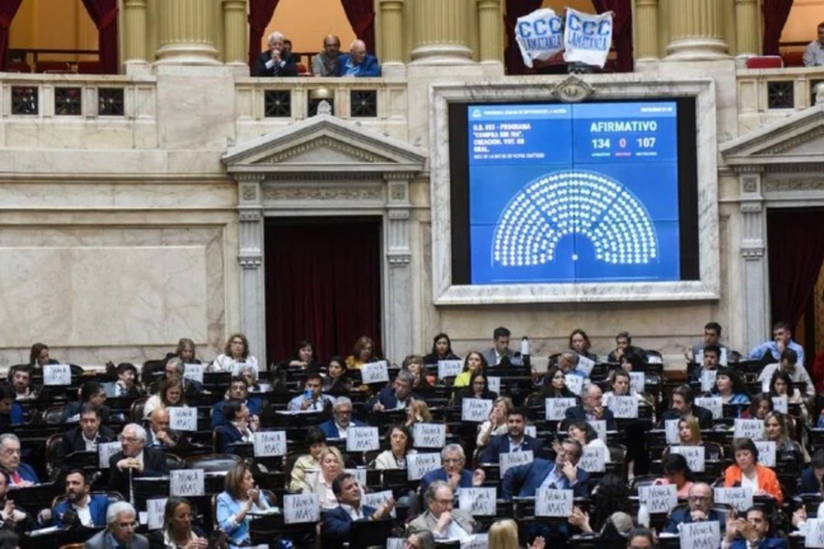 El momento de la votaci&oacute;n. Fuente: Infobae.