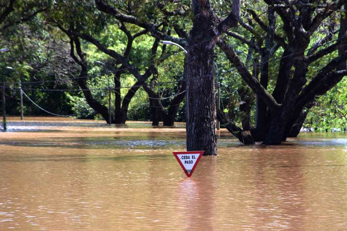 El r&iacute;o desbordado en Salto.