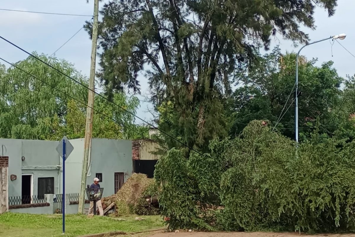Rocamora, casi Maip&uacute;: zona este de Concordia.