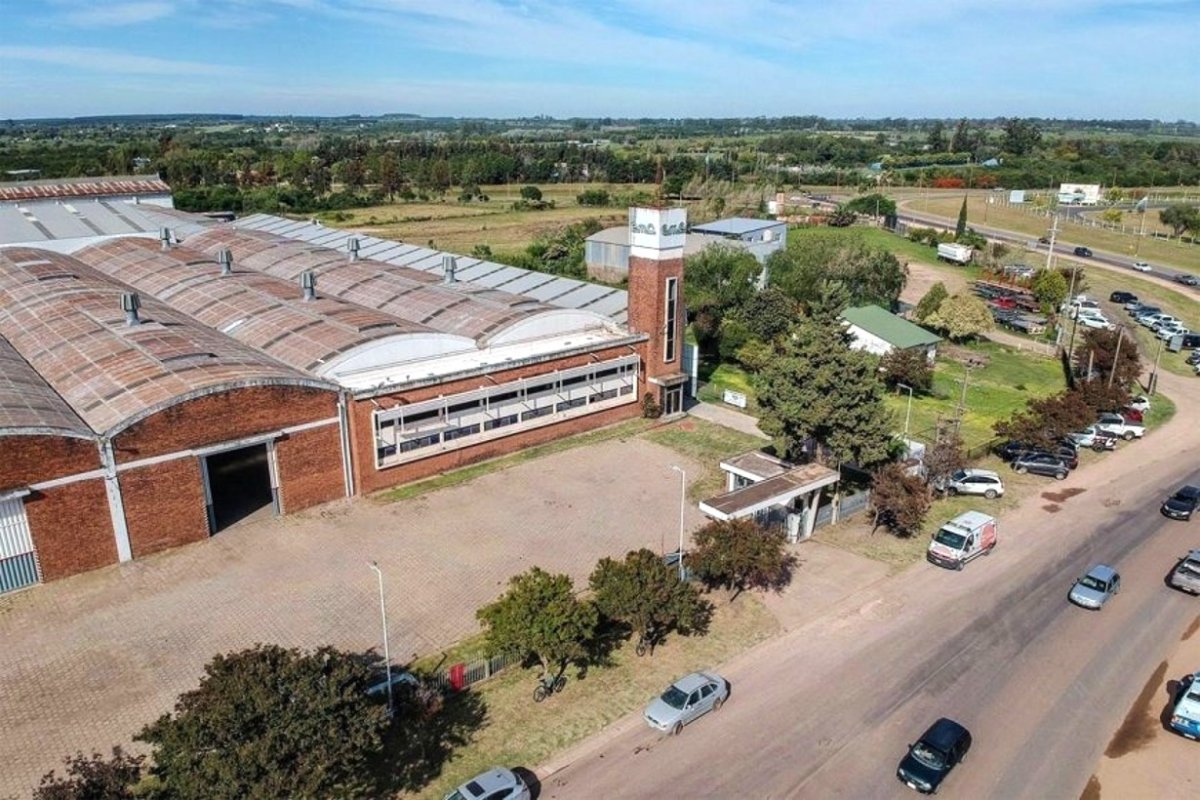 Predio de la exmetal&uacute;rgica, en Col&oacute;n