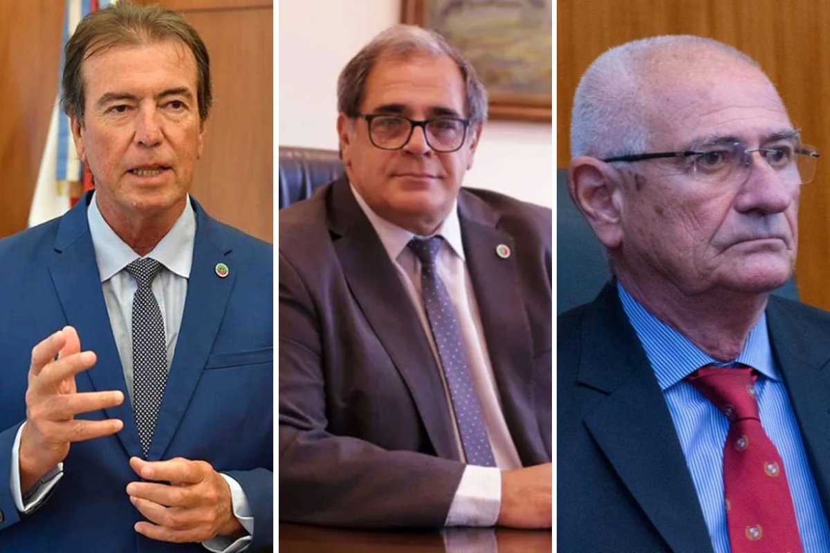 Castrill&oacute;n, Carbonell y Smaldone, jubilados.