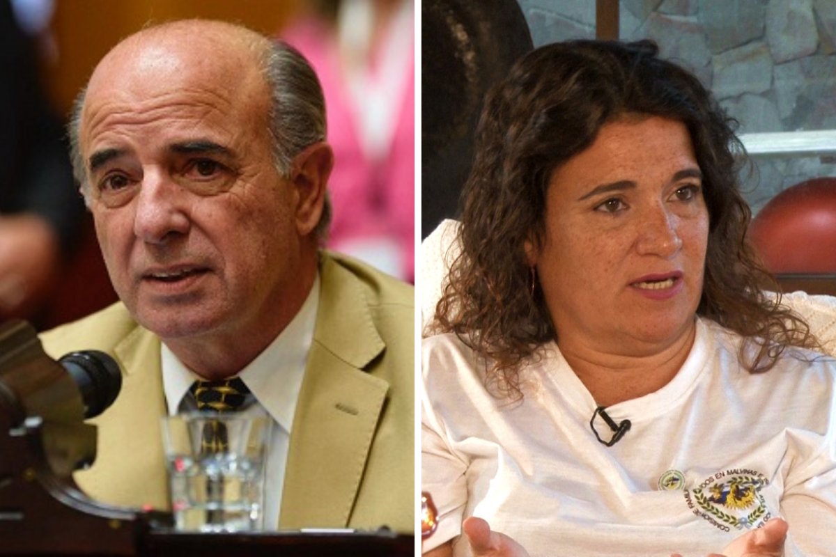 Benedit y Araujo no firmaron el proyecto.