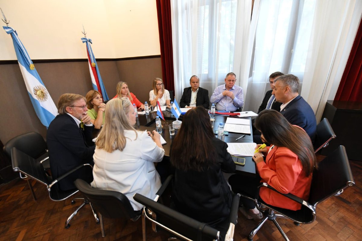 Hein y Stratta en reuni&oacute;n de Labor Parlamentaria.
