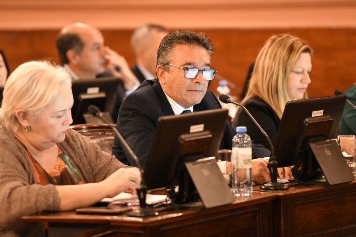 Rub&eacute;n Rastelli, autor del proyecto de resoluci&oacute;n.