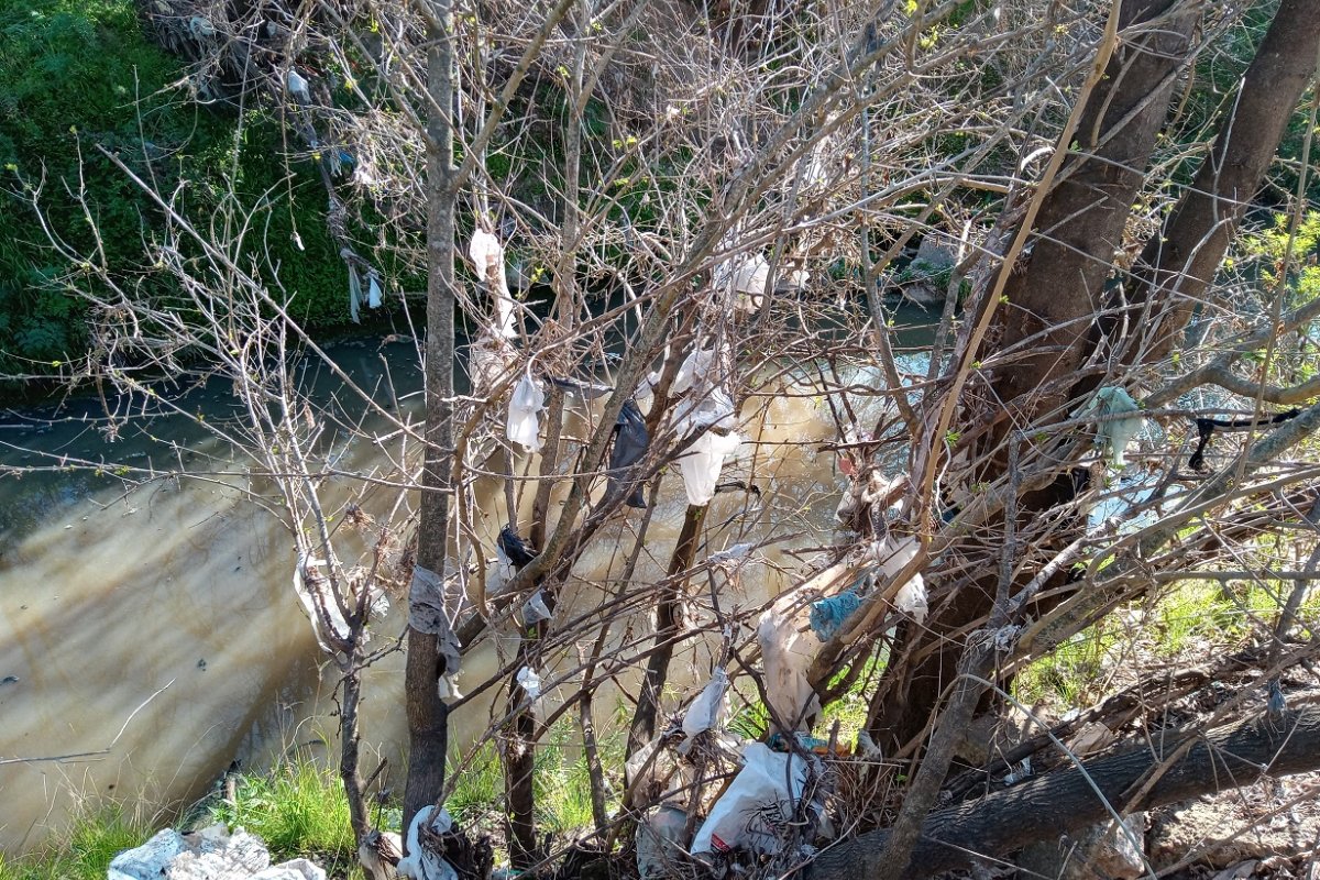 Contaminaci&oacute;n en el arroyo Las Tunas.
