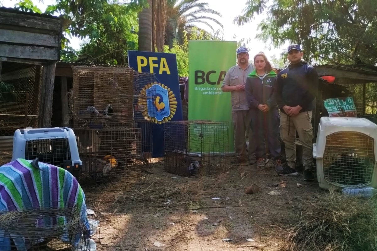 El operativo fue realizado en Chajar&iacute;, Federaci&oacute;n.