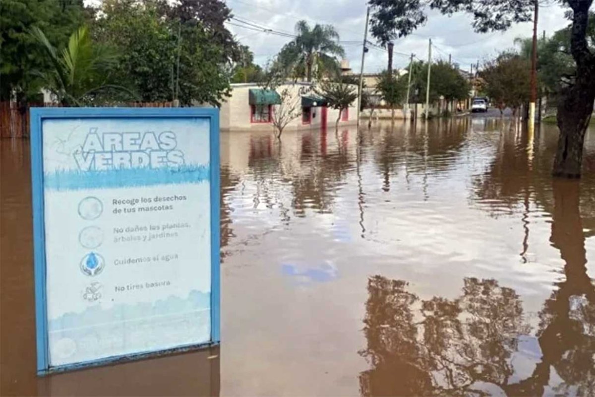 La inundaci&oacute;n, contada por estudiantes