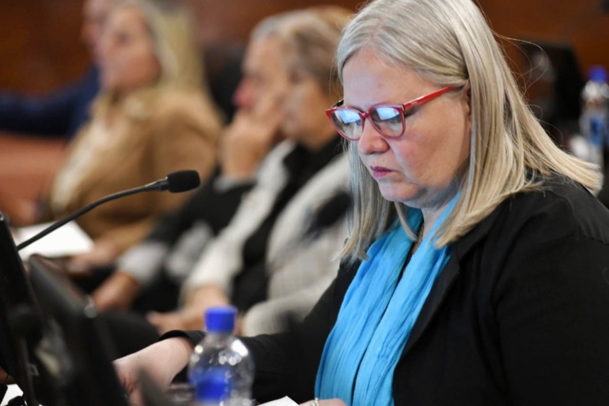 La profesora P&eacute;rez, actual diputada provincial.