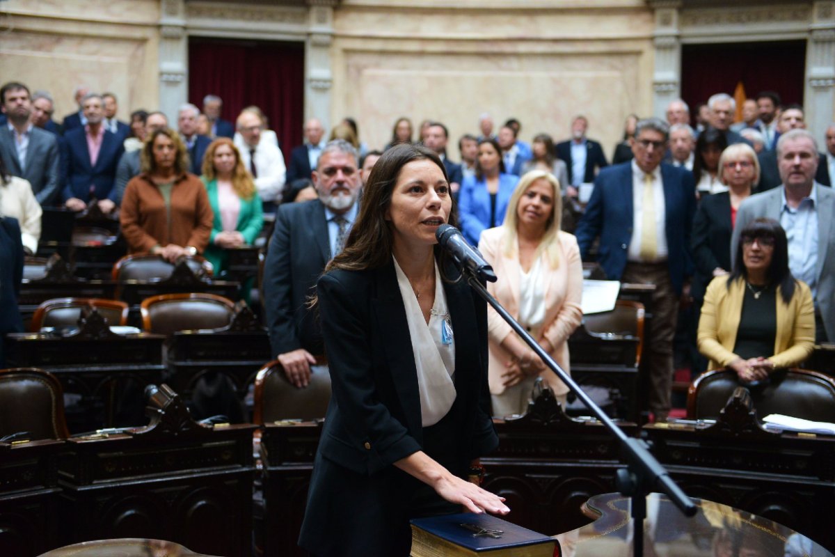Ballejos jur&oacute; este mi&eacute;rcoles y vot&oacute; por el veto.