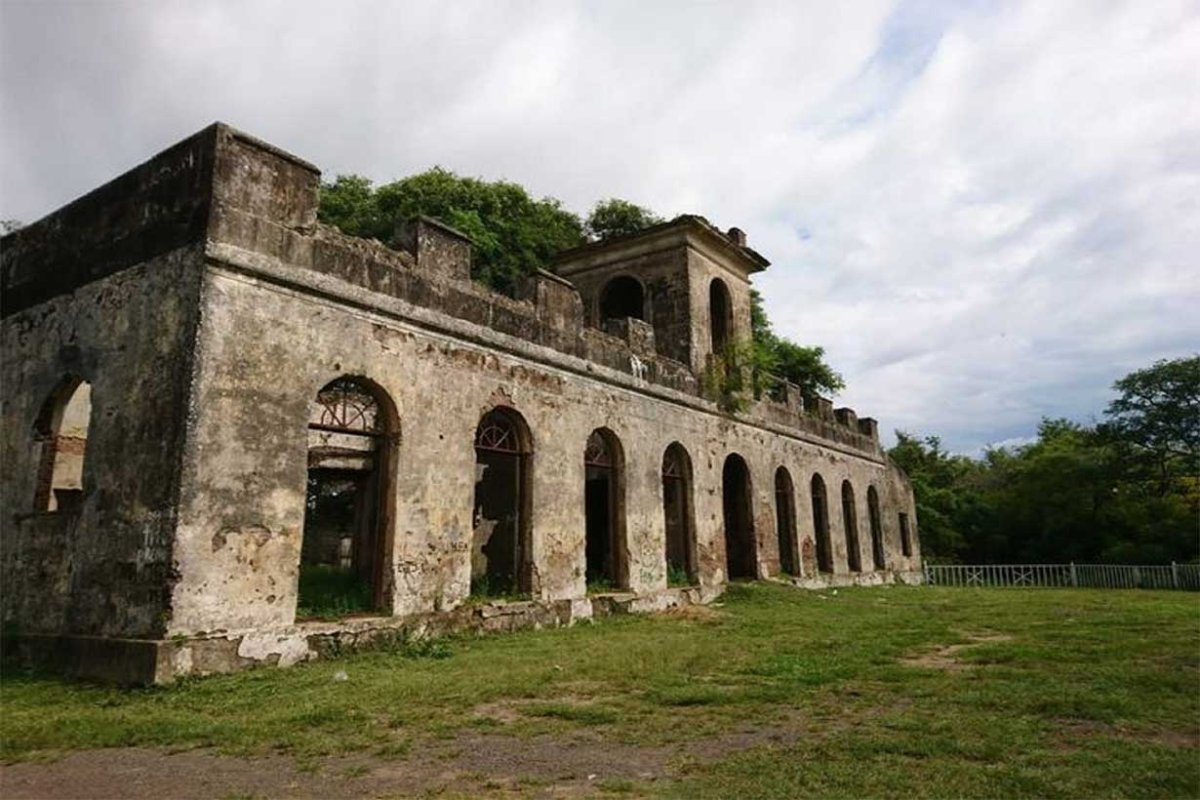 Naranjal de Pereda.