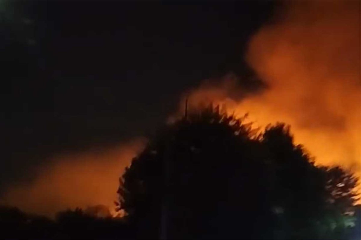 Imagen captada desde un veh&iacute;culo