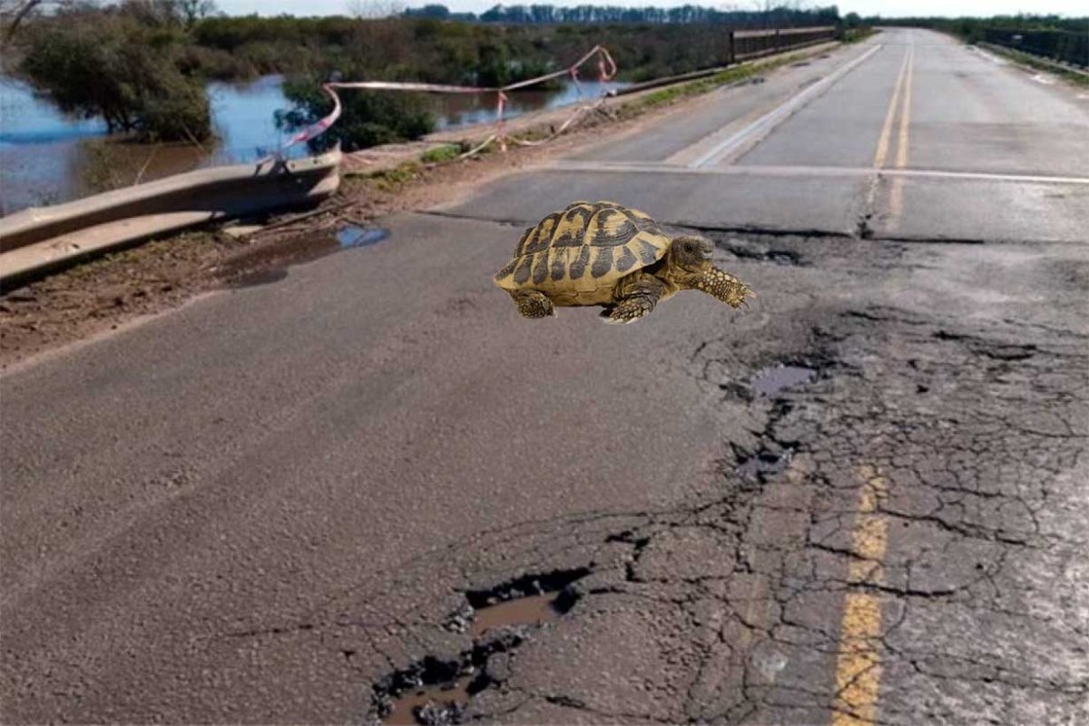 Reparaci&oacute;n lenta, como tortuga (fotomontaje: EER).