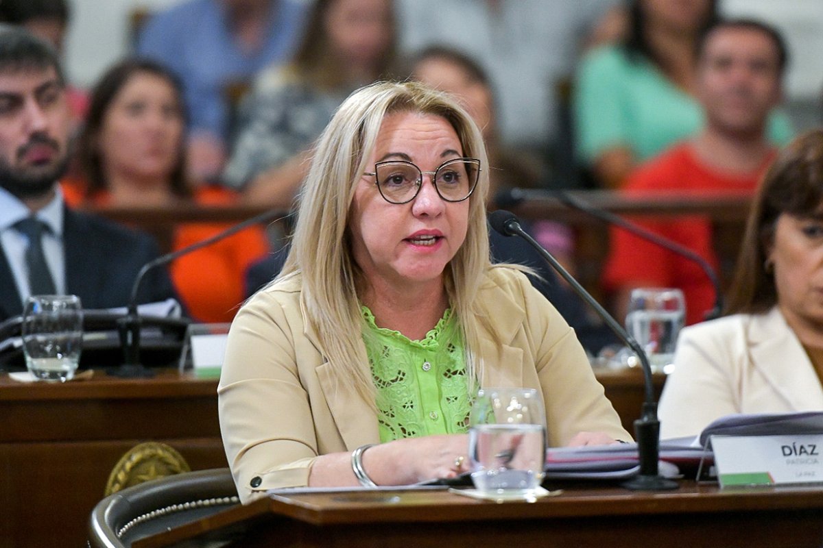Patricia D&iacute;az, senadora del Departamento La Paz.
