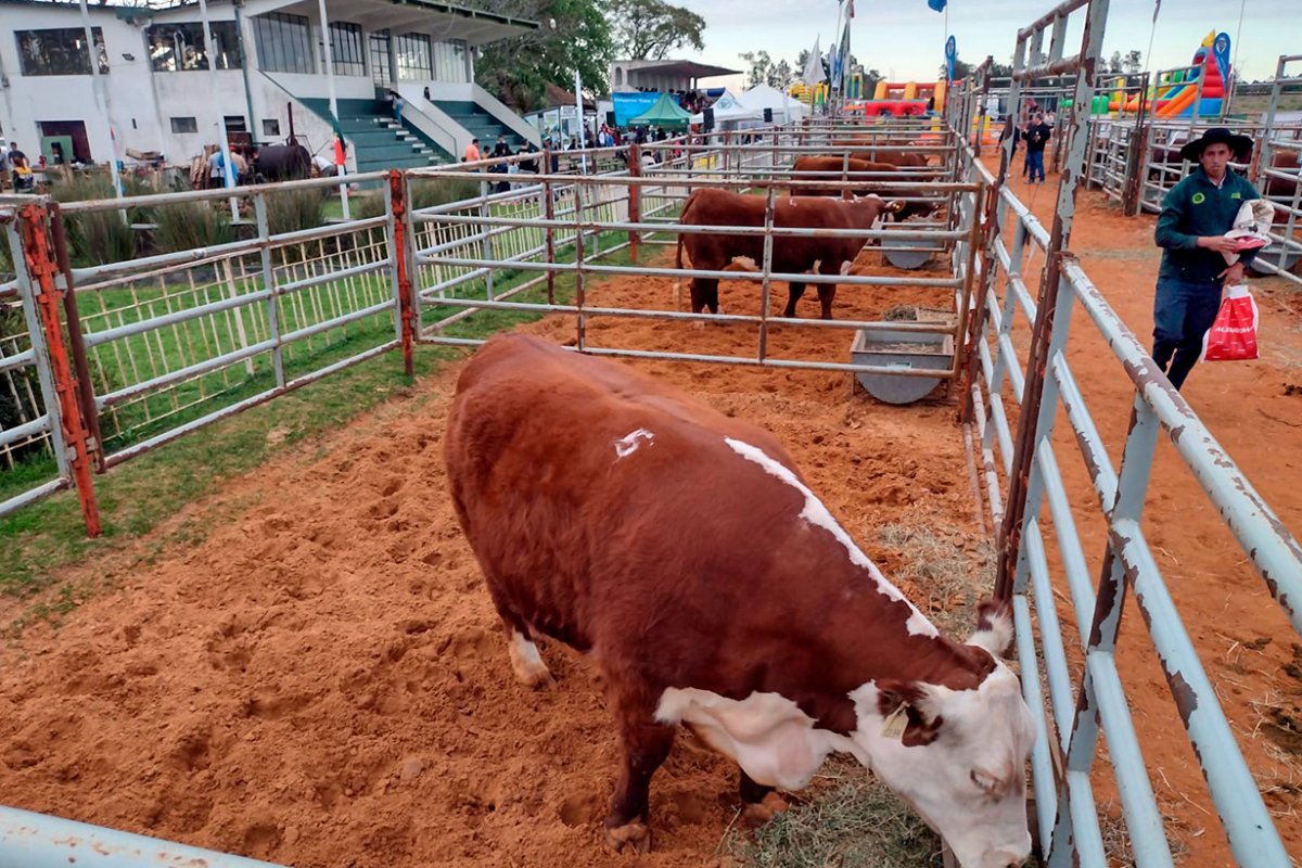 En Camba Paso fue la expo por m&aacute;s de 2 d&eacute;cadas.