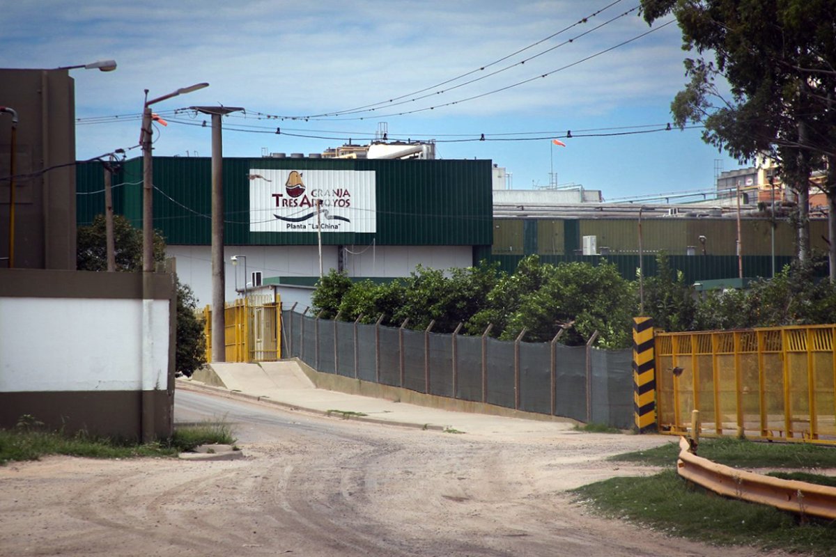 Planta en Concepci&oacute;n del Uruguay.