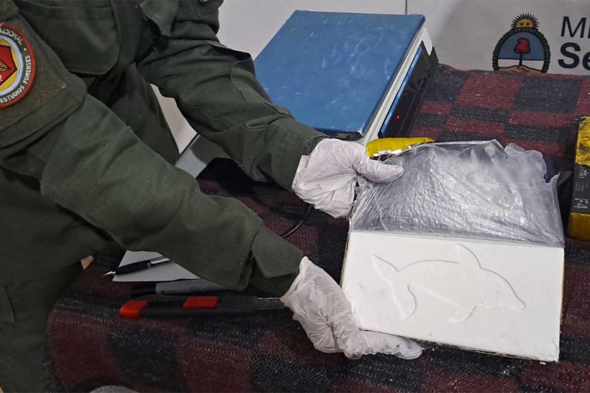 La coca&iacute;na, con la marca Delf&iacute;n