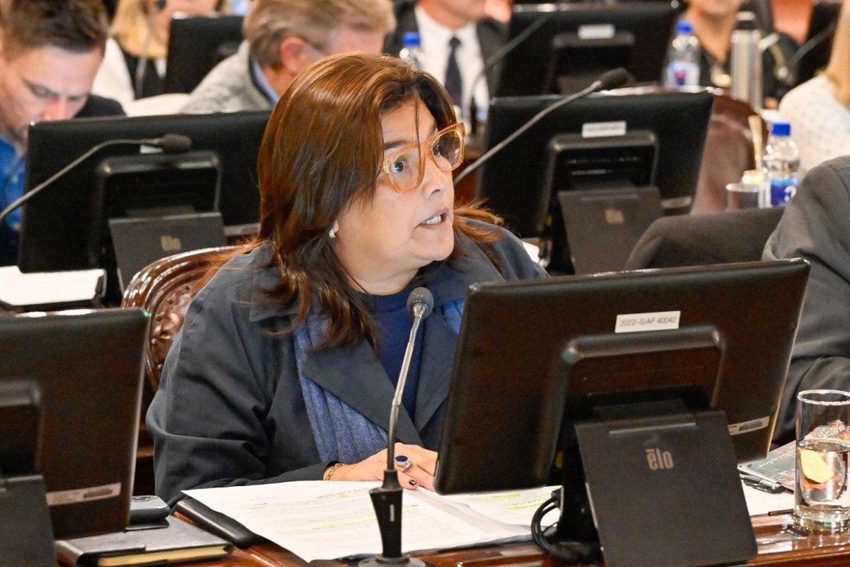 Diputada Mariel &Aacute;vila.