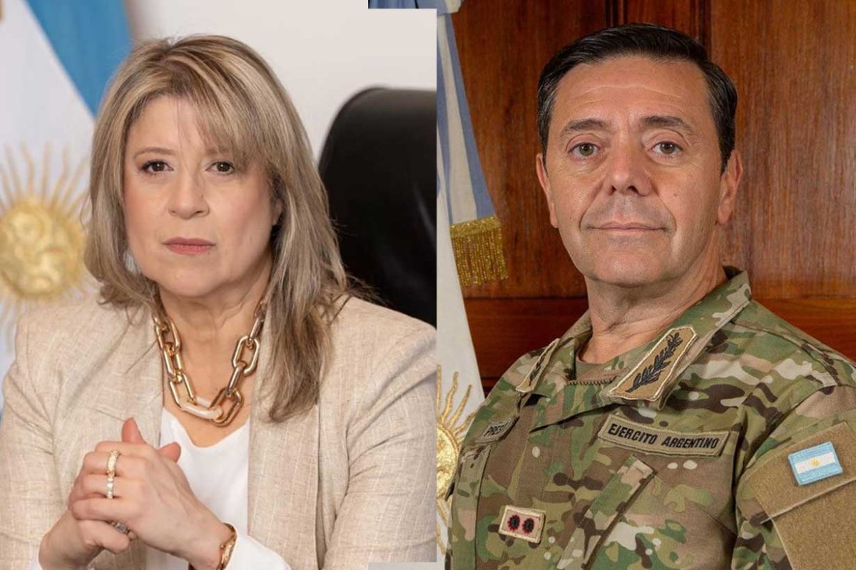 Reemplazar&aacute;n a Bullrich y Petri