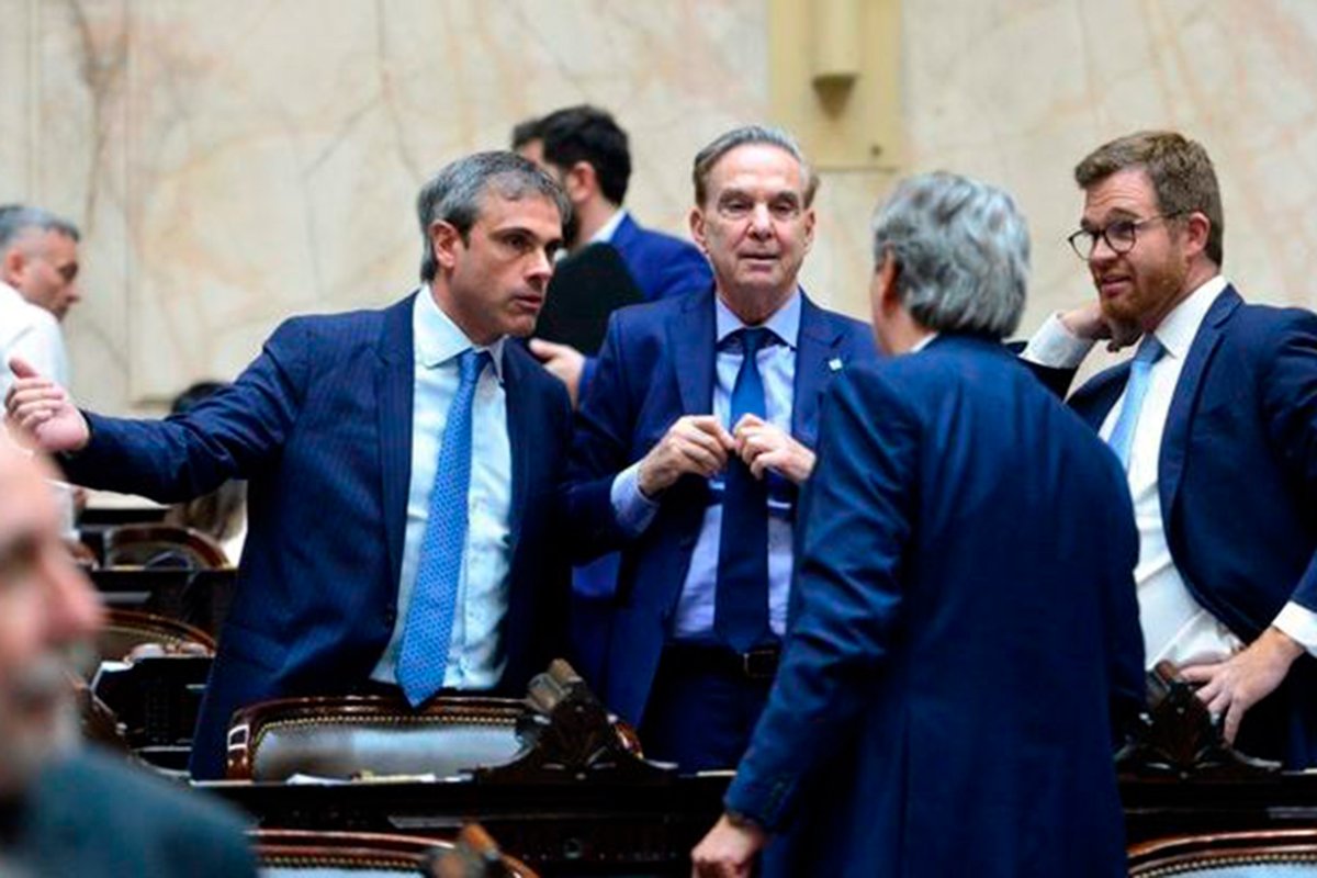 Michel se sum&oacute; a Diputados en diciembre &uacute;ltimo.