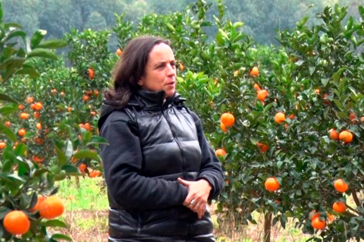 Melania Zorzi preside la FeCiER.